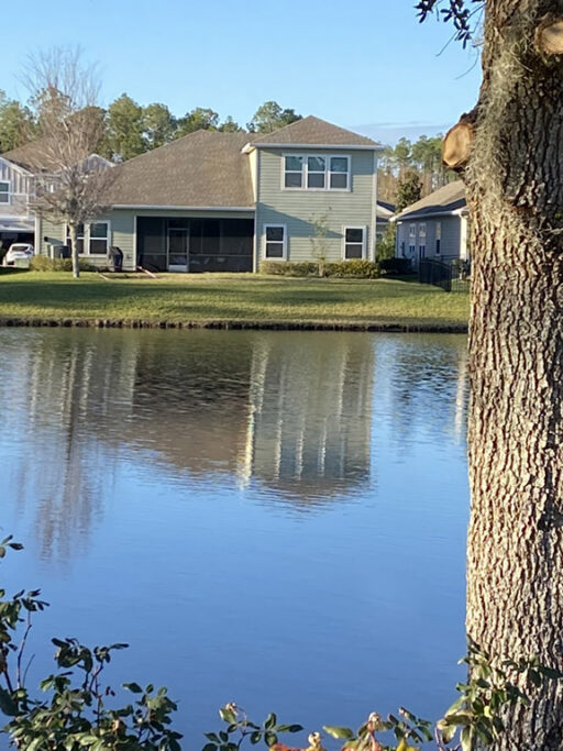 Lake Homes: Mold and Moisture Assessments